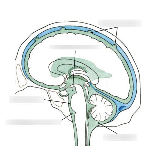 mega cisterna magna wikipedia|Subarachnoid cisterns .